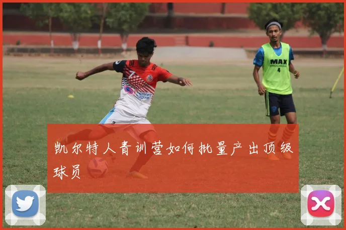 凯尔特人青训营如何批量产出顶级球员