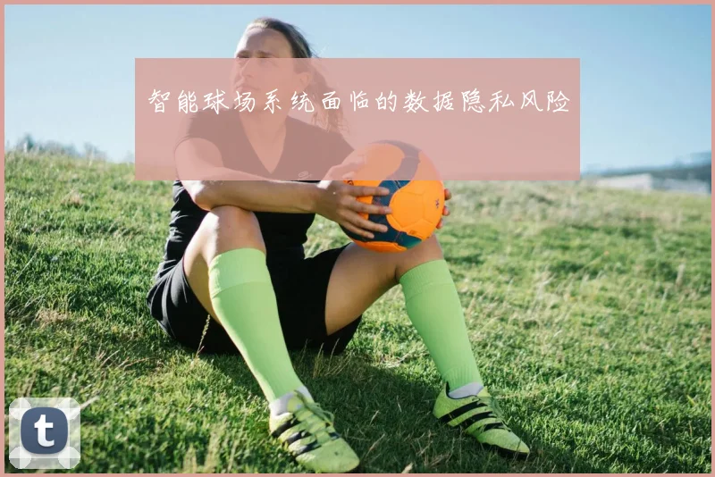 智能球场系统面临的数据隐私风险