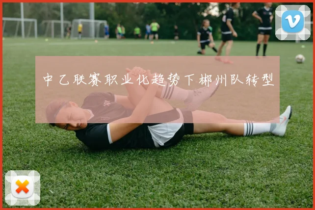 中乙联赛职业化趋势下郴州队转型
