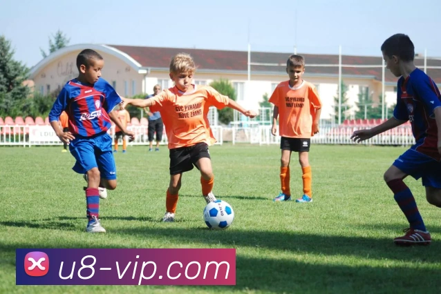 u8国际官网平台生态图